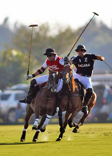 zacara coca polo teams polo gold cup ipc polo clu 1