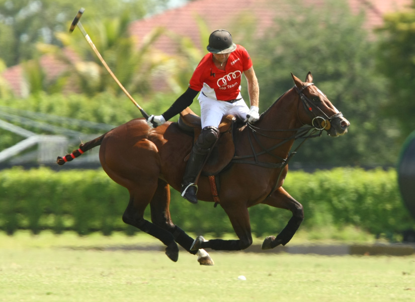 Eastern challenge polo tournament polo mag 2