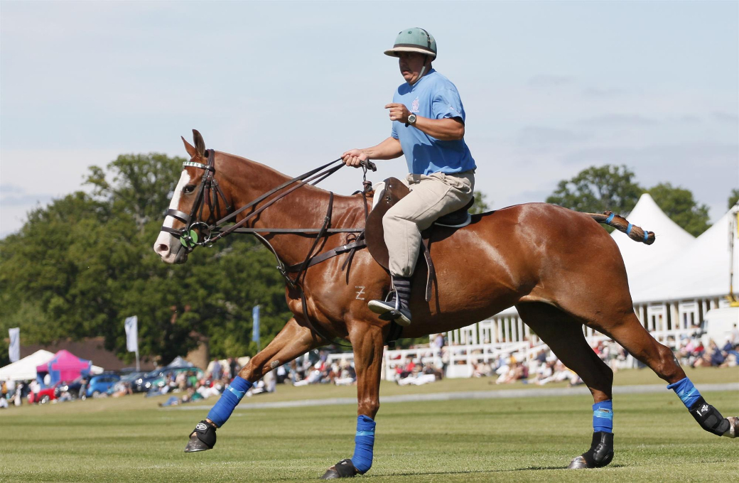 polo magazine polo photos queens cup uk polo celine genonceau el remanso polo team 13
