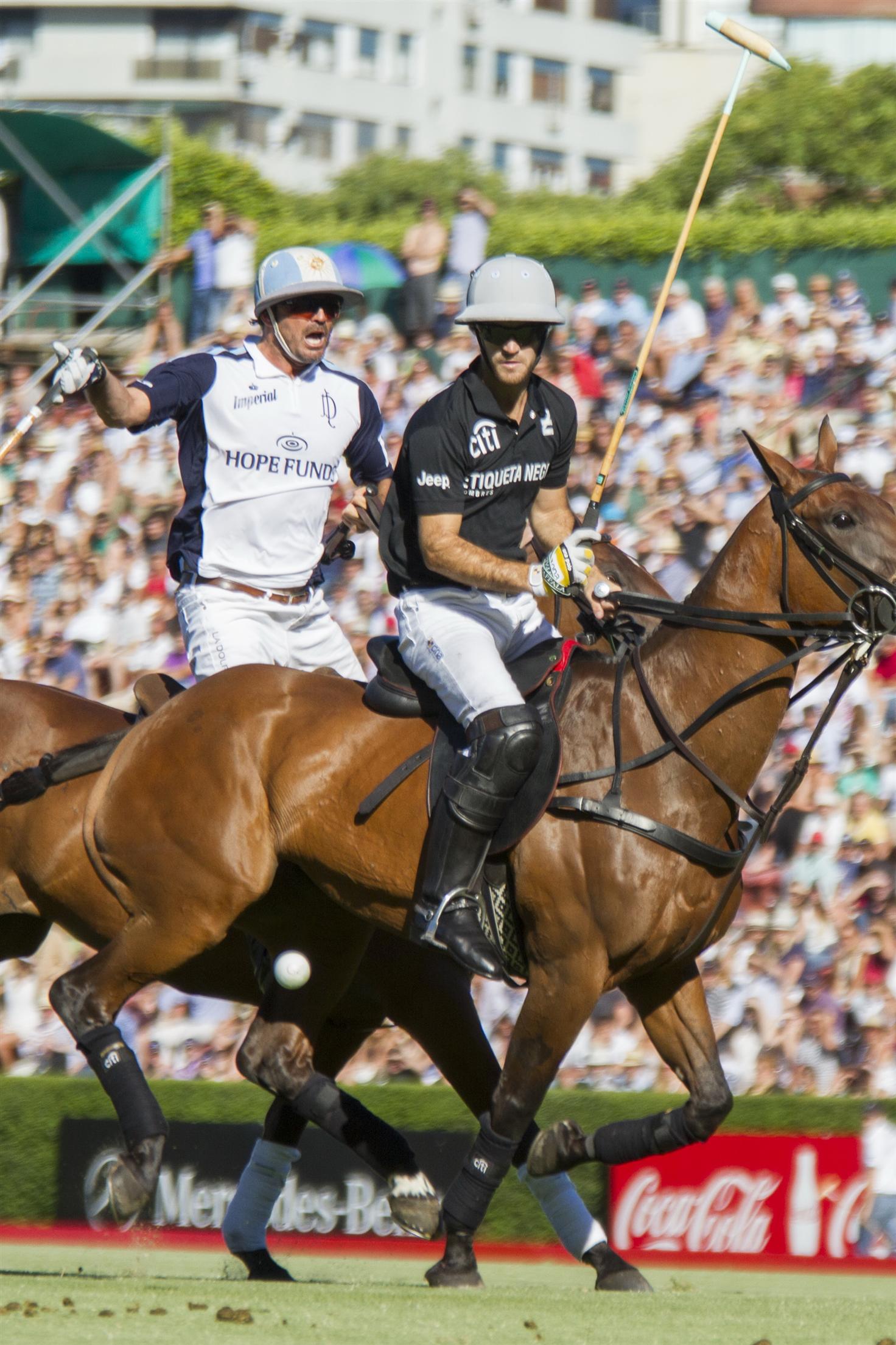 polo, polo magazine, polo palermo, palermo polo 2012, argentina polo, cambiaso, elerstina black,